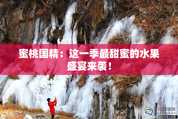 蜜桃国精：这一季最甜蜜的水果盛宴来袭！