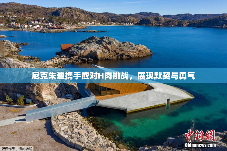 尼克朱迪携手应对H肉挑战，展现默契与勇气