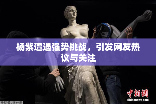 杨紫遭遇强势挑战，引发网友热议与关注