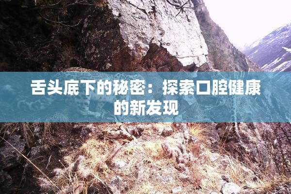 舌头底下的秘密：探索口腔健康的新发现