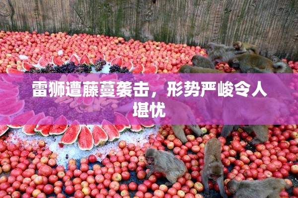 雷狮遭藤蔓袭击，形势严峻令人堪忧