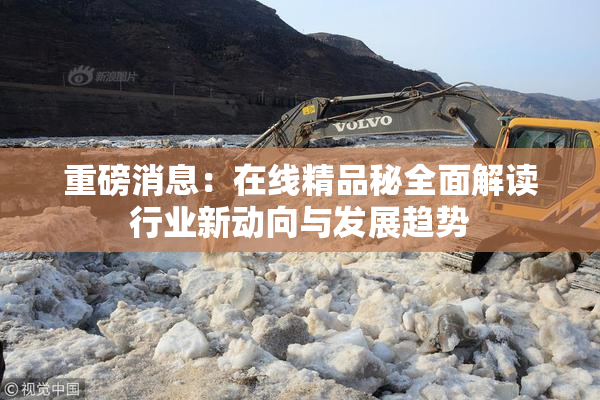 重磅消息：在线精品秘全面解读行业新动向与发展趋势