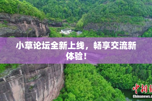 小草论坛全新上线，畅享交流新体验！