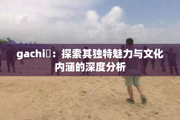 gachi籣：探索其独特魅力与文化内涵的深度分析