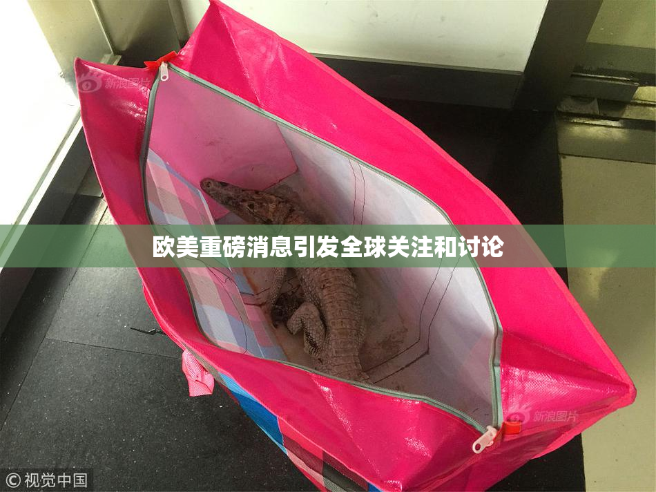 欧美重磅消息引发全球关注和讨论
