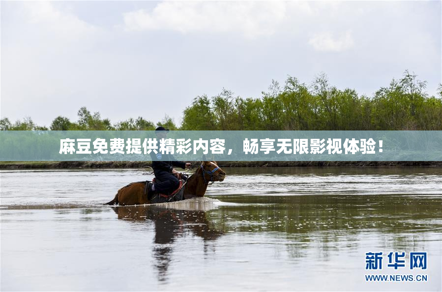 麻豆免费提供精彩内容，畅享无限影视体验！