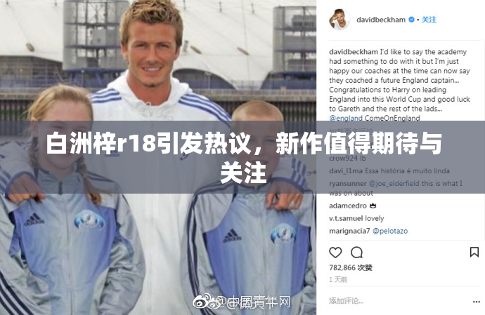 白洲梓r18引发热议，新作值得期待与关注