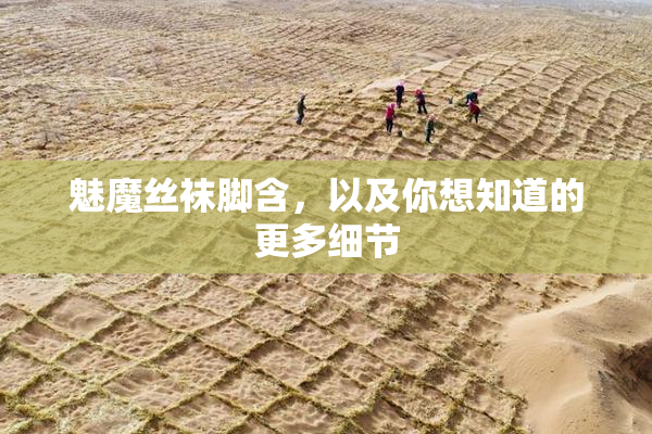 魅魔丝袜脚含，以及你想知道的更多细节