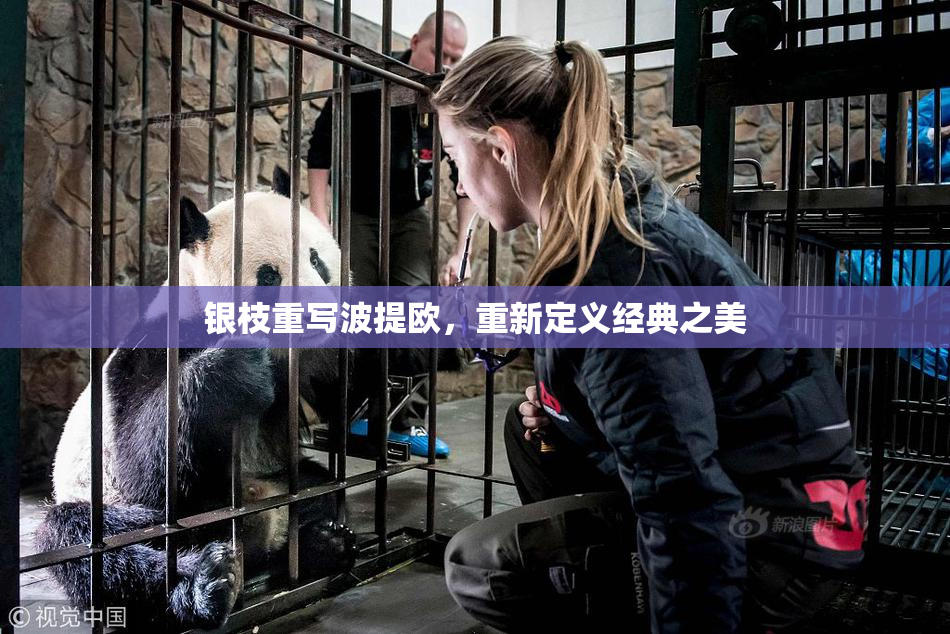 银枝重写波提欧，重新定义经典之美