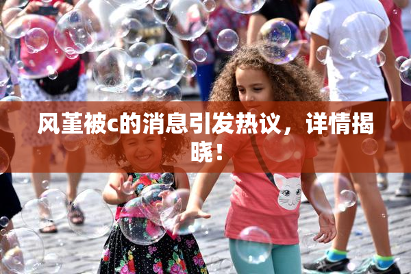 风堇被c的消息引发热议，详情揭晓！