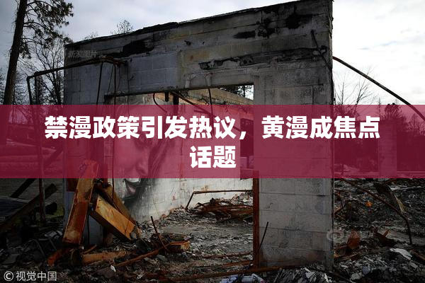 禁漫政策引发热议，黄漫成焦点话题