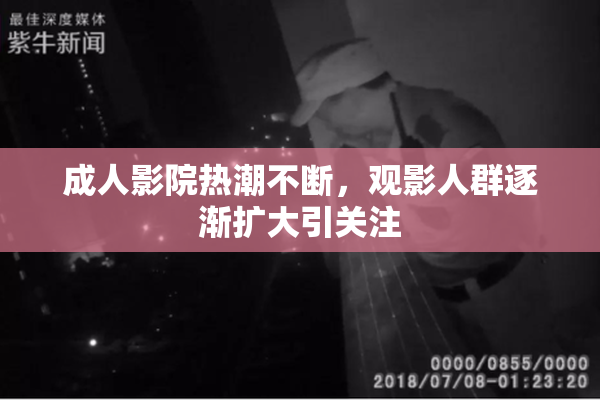 成人影院热潮不断，观影人群逐渐扩大引关注