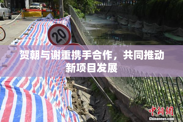 贺朝与谢重携手合作，共同推动新项目发展