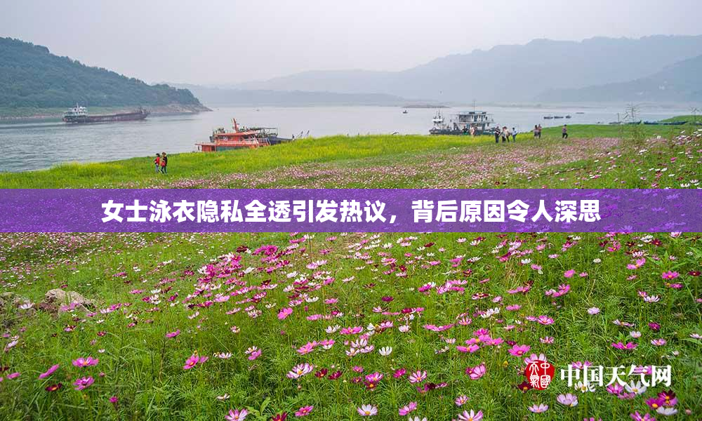 女士泳衣隐私全透引发热议，背后原因令人深思