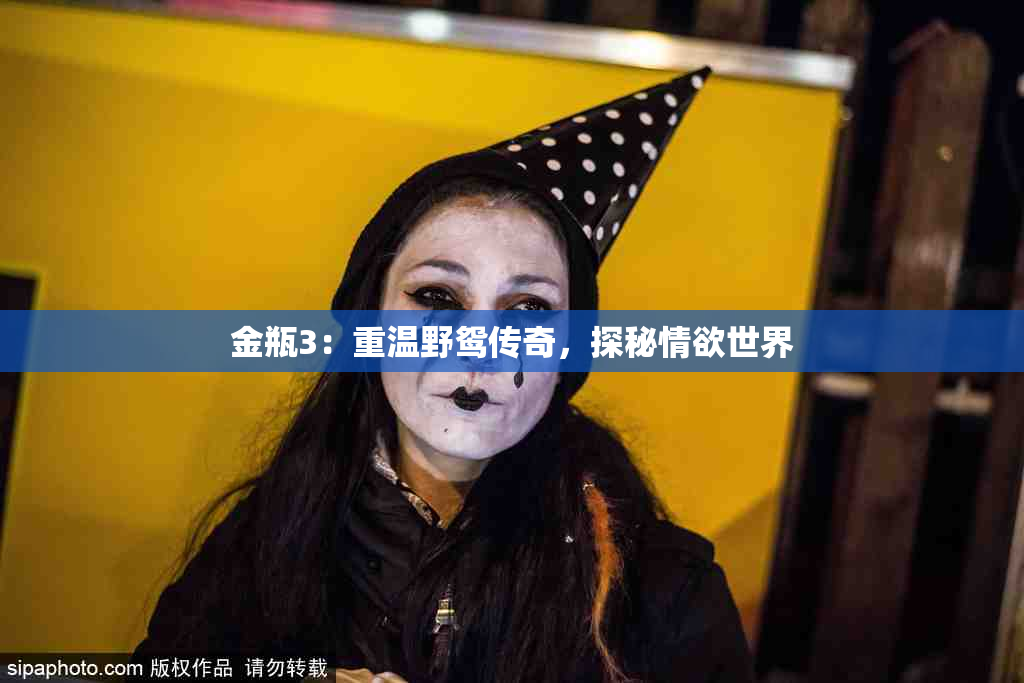 金瓶3：重温野鸳传奇，探秘情欲世界