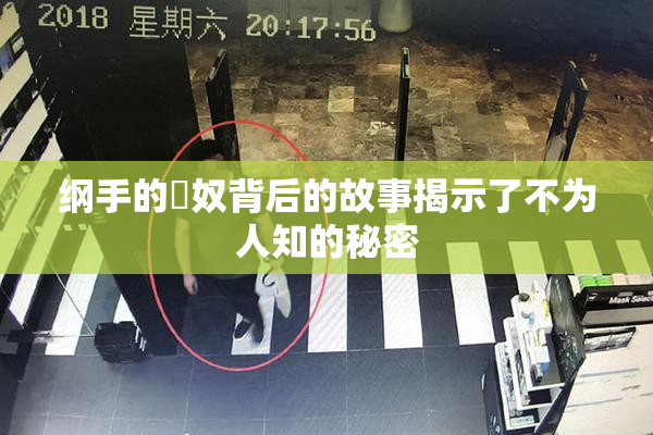 纲手的婬奴背后的故事揭示了不为人知的秘密