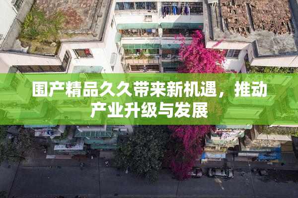 围产精品久久带来新机遇，推动产业升级与发展