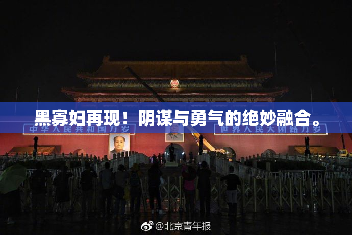 黑寡妇再现！阴谋与勇气的绝妙融合。
