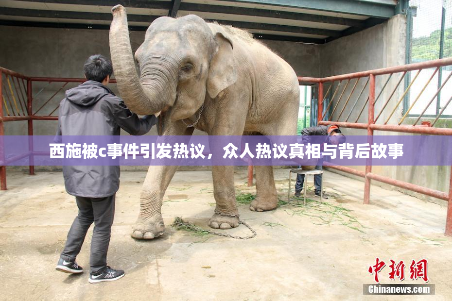西施被c事件引发热议，众人热议真相与背后故事