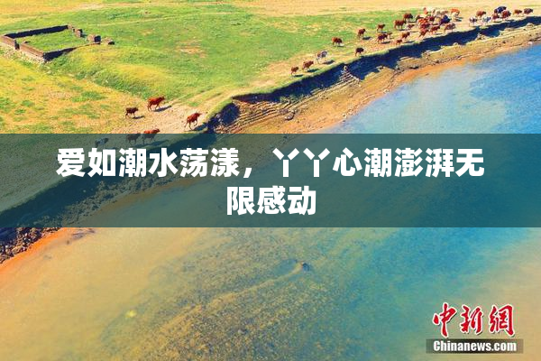 爱如潮水荡漾，丫丫心潮澎湃无限感动