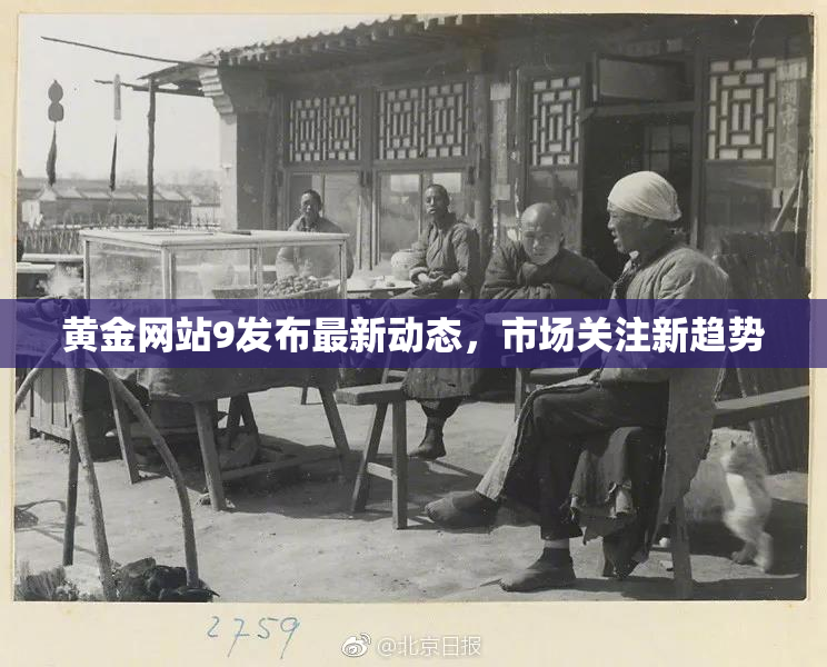 黄金网站9发布最新动态，市场关注新趋势