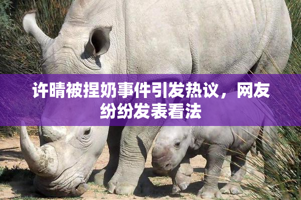 许晴被捏奶事件引发热议，网友纷纷发表看法