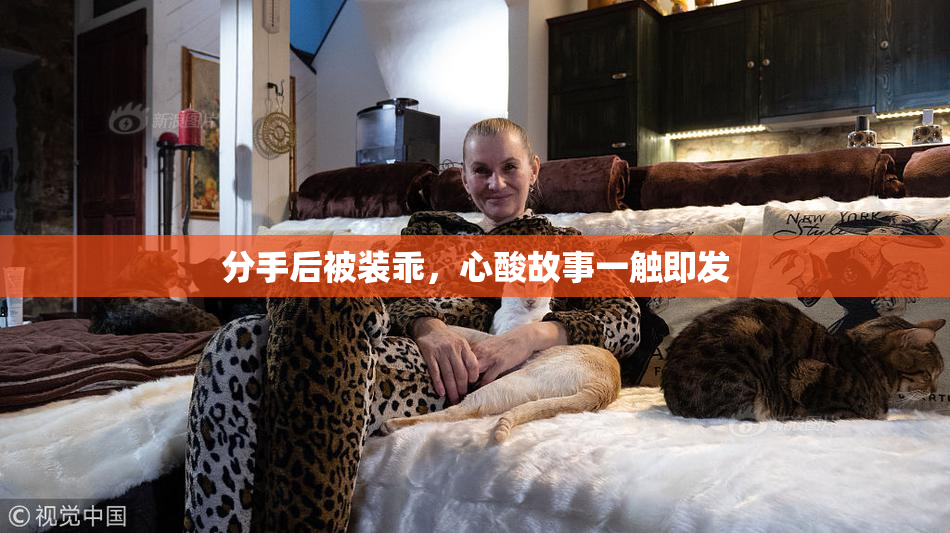 分手后被装乖，心酸故事一触即发