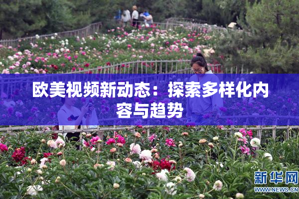 欧美视频新动态：探索多样化内容与趋势