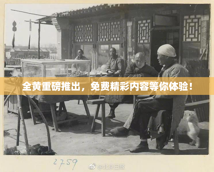 全黄重磅推出，免费精彩内容等你体验！