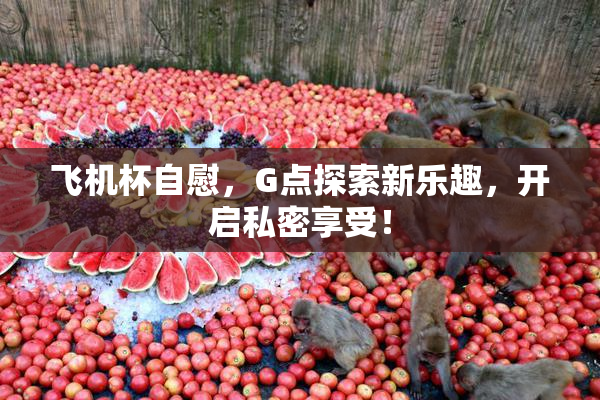 飞机杯自慰，G点探索新乐趣，开启私密享受！