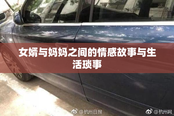 女婿与妈妈之间的情感故事与生活琐事