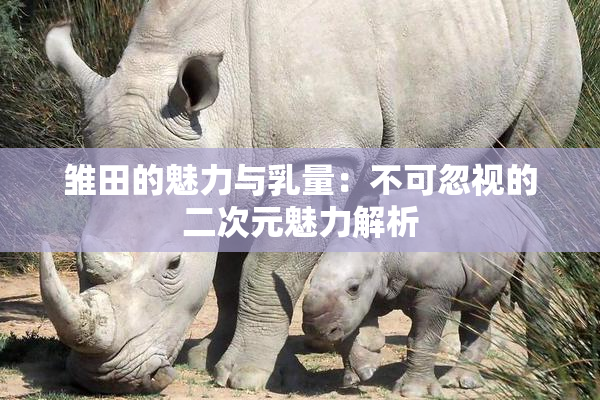 雏田的魅力与乳量：不可忽视的二次元魅力解析