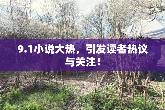 9.1小说大热，引发读者热议与关注！