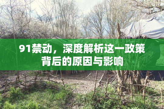 91禁动，深度解析这一政策背后的原因与影响