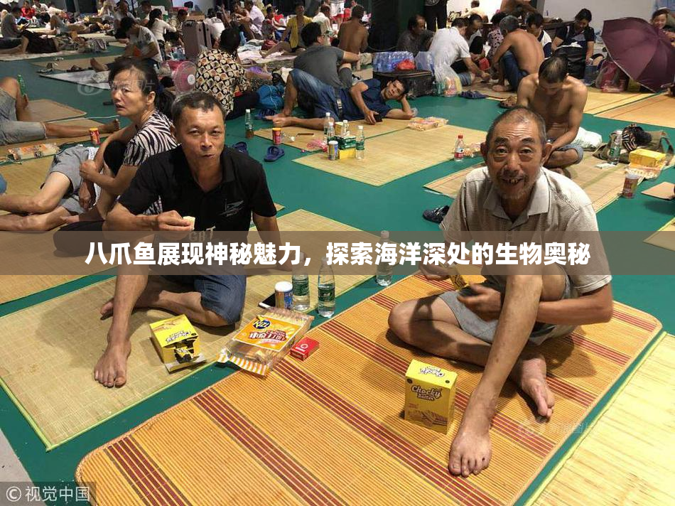 八爪鱼展现神秘魅力，探索海洋深处的生物奥秘