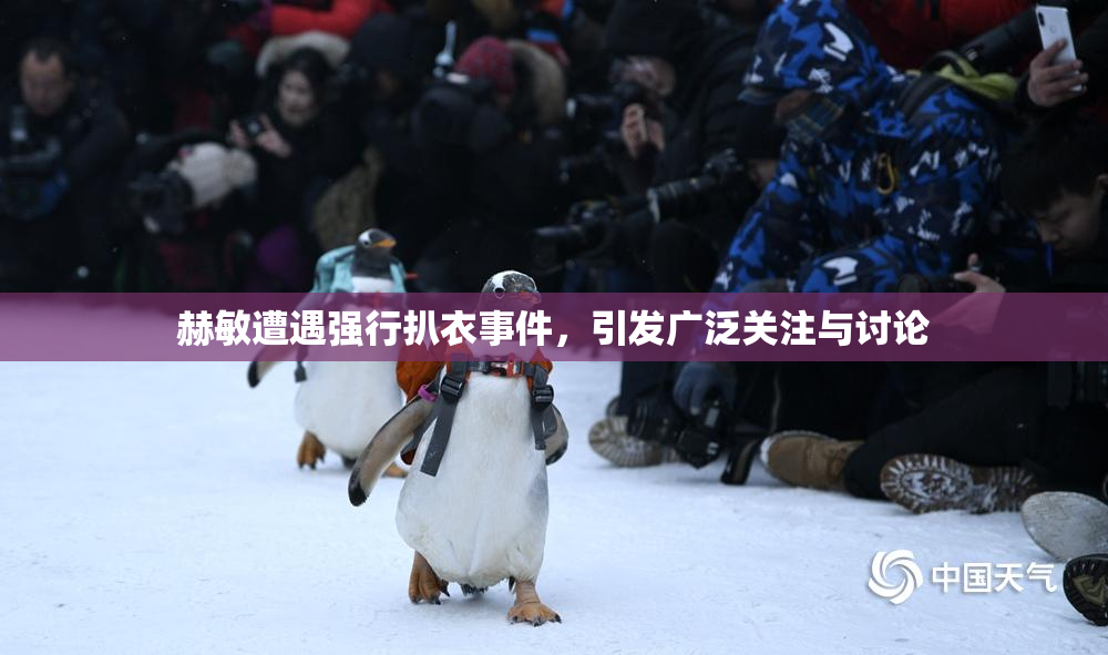 赫敏遭遇强行扒衣事件，引发广泛关注与讨论