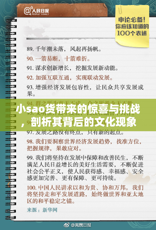 小sao货带来的惊喜与挑战，剖析其背后的文化现象
