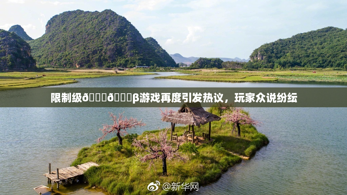 限制级🍆🍑β游戏再度引发热议，玩家众说纷纭