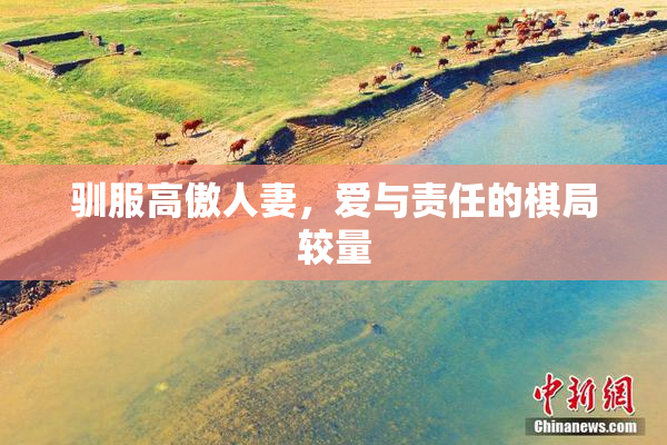 驯服高傲人妻，爱与责任的棋局较量