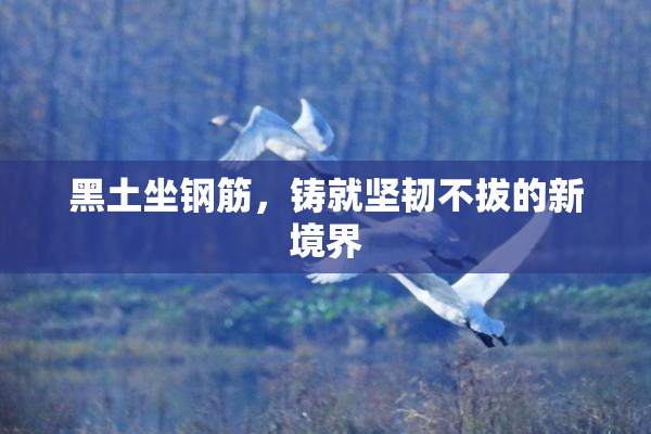 黑土坐钢筋，铸就坚韧不拔的新境界