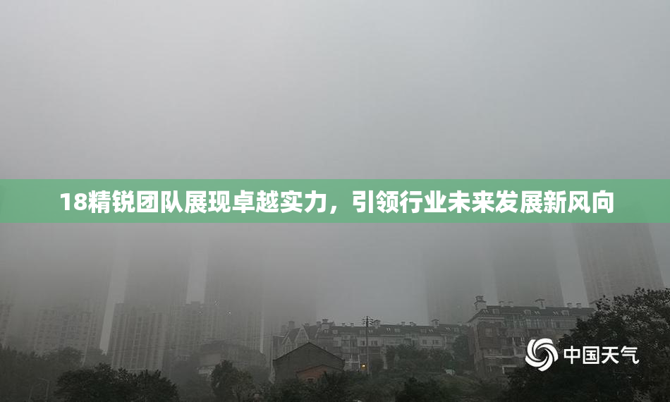 18精锐团队展现卓越实力，引领行业未来发展新风向