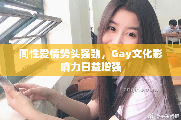 同性爱情势头强劲，Gay文化影响力日益增强
