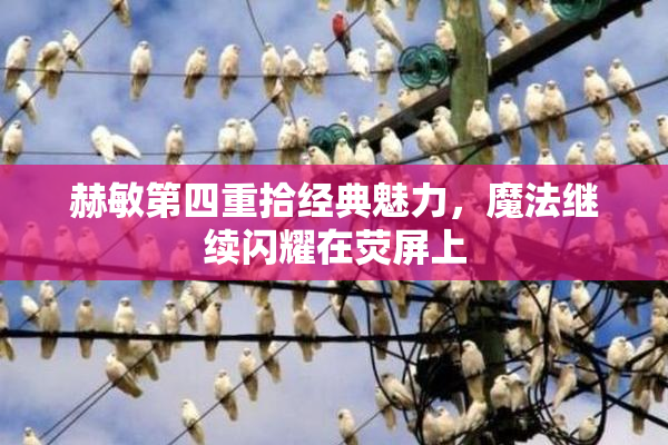 赫敏第四重拾经典魅力，魔法继续闪耀在荧屏上