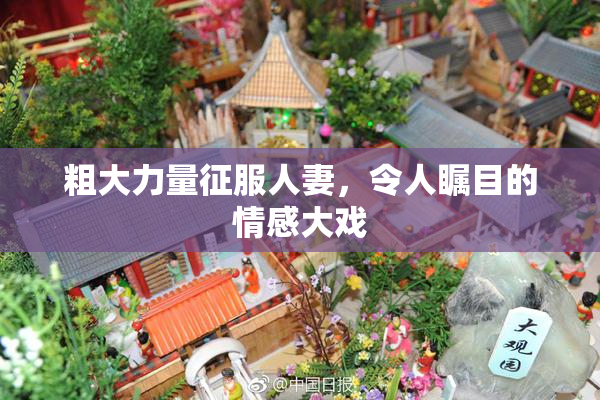 粗大力量征服人妻，令人瞩目的情感大戏