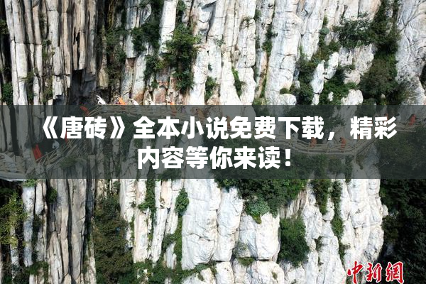 《唐砖》全本小说免费下载，精彩内容等你来读！
