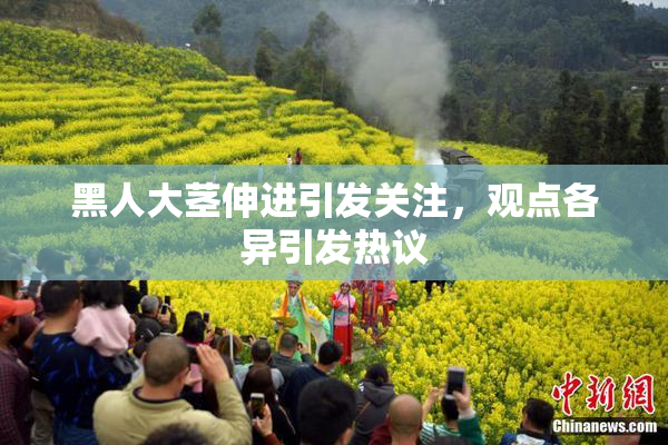 黑人大茎伸进引发关注，观点各异引发热议