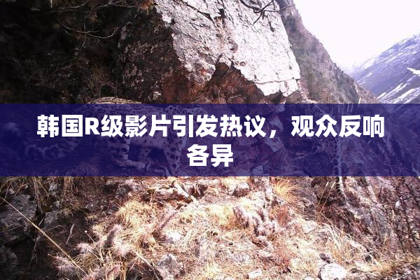 韩国R级影片引发热议，观众反响各异