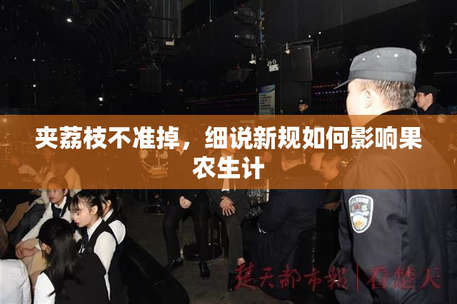 夹荔枝不准掉，细说新规如何影响果农生计