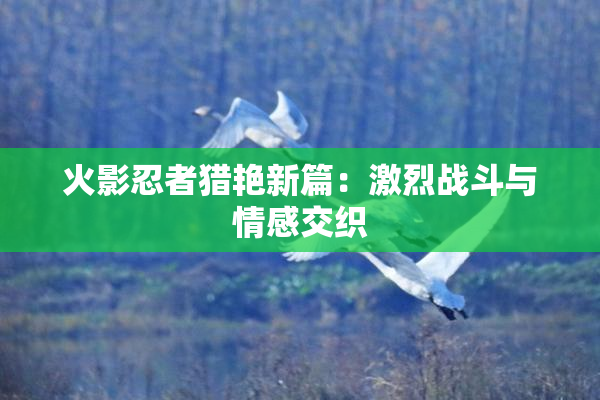 火影忍者猎艳新篇：激烈战斗与情感交织