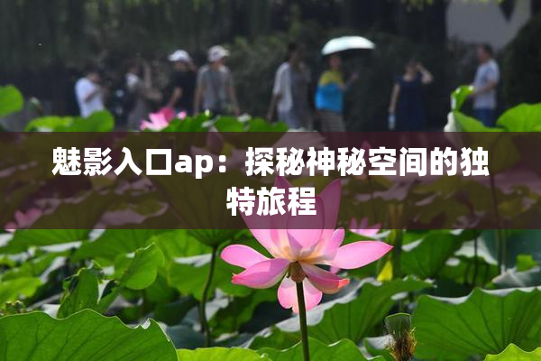 魅影入口ap：探秘神秘空间的独特旅程